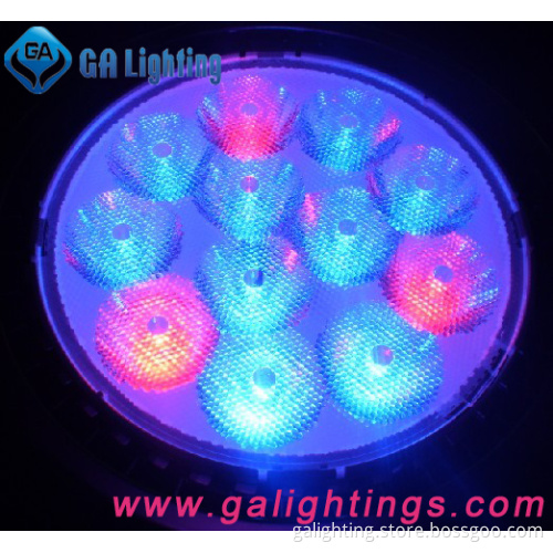 Colorful E27 18W LED Grow Light (GASL-122P38B)